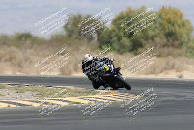 media/Apr-19-2025-CVMA (Sat) [[586b59ad56]]/Race 2-Amateur Formula Open/